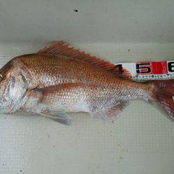 松本釣船2 釣果