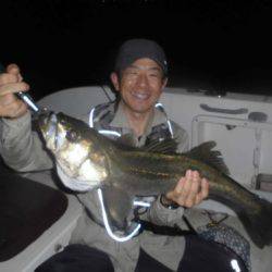 ルアー船マヒマヒ 釣果