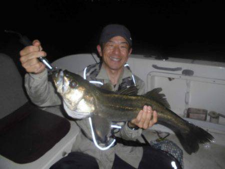 ルアー船マヒマヒ 釣果