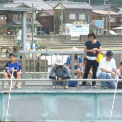 海釣り公園みかた 釣果