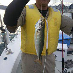 松本釣船2 釣果