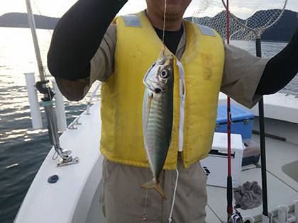 松本釣船2 釣果