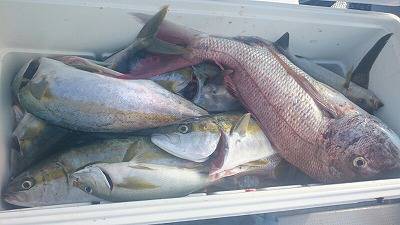 海龍丸(福岡) 釣果