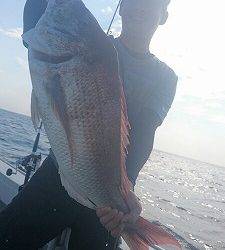 海龍丸(福岡) 釣果