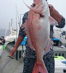 海龍丸(福岡) 釣果