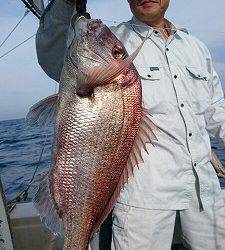 海龍丸(福岡) 釣果