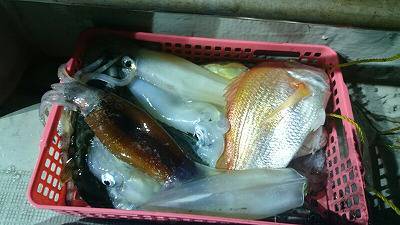 海龍丸(福岡) 釣果