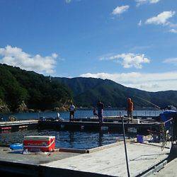 フィッシングパーク錦 釣果