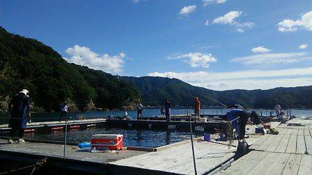 フィッシングパーク錦 釣果