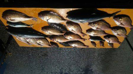 フィッシングパーク錦 釣果