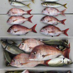 来温丸（らいおんまる） 釣果