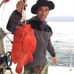 マタウマリンサービス 釣果