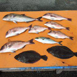 フィッシングパーク錦 釣果