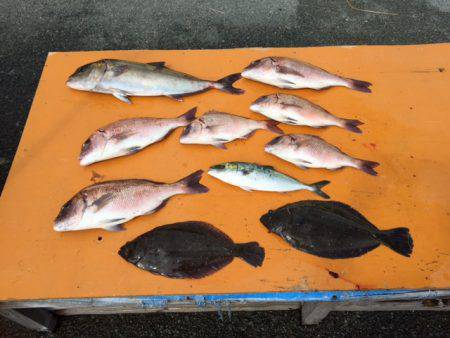 フィッシングパーク錦 釣果