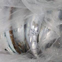 松本釣船２ 釣果