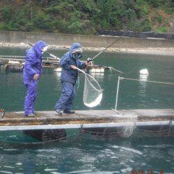 フィッシングパーク錦 釣果