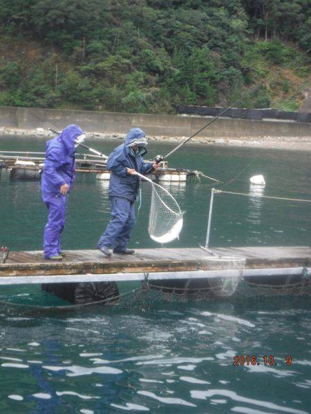 フィッシングパーク錦 釣果