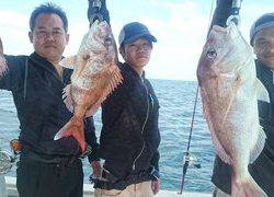 愛裕南丸 釣果