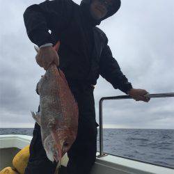 マタウマリンサービス 釣果