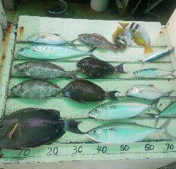 本部釣りイカダ 釣果