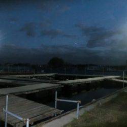 松名瀬フィッシングパーク 釣果