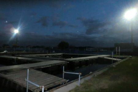 松名瀬フィッシングパーク 釣果