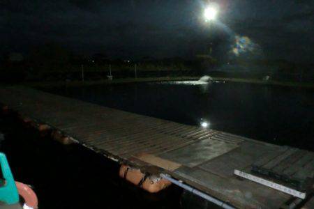 松名瀬フィッシングパーク 釣果