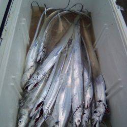 ファイヤードルフィン 釣果