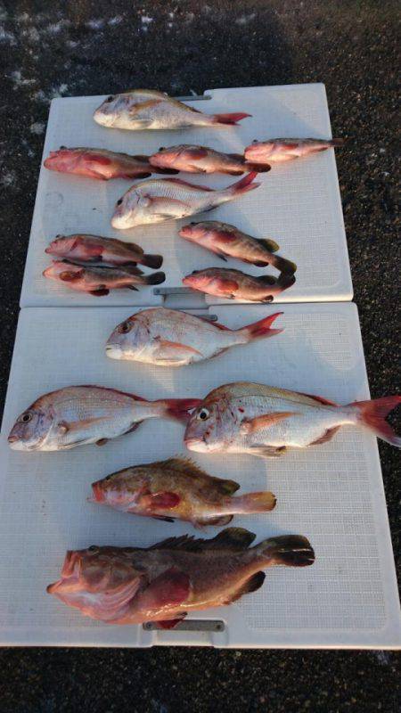 オーフリー 釣果