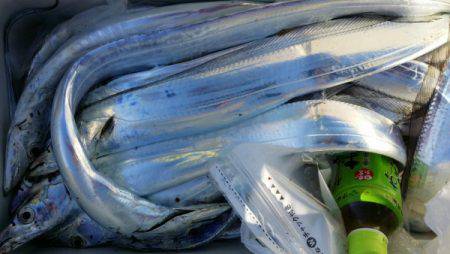 オーフリー 釣果