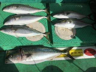 利弥丸（としやまる） 釣果