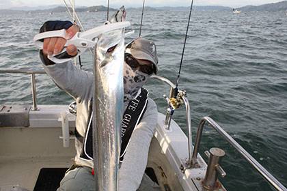 松本釣船２ 釣果