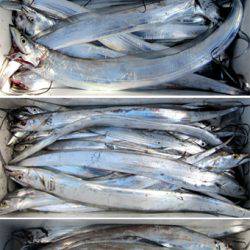 来温丸(らいおんまる) 釣果