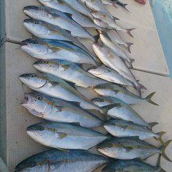 旭星釣りセンター 釣果