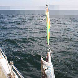 松本釣船2 釣果