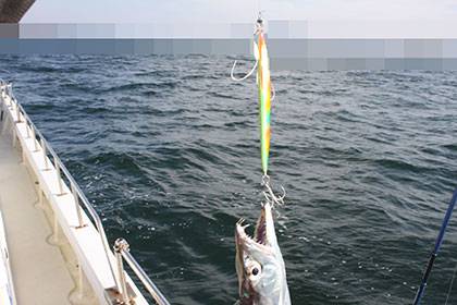 松本釣船2 釣果