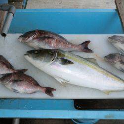 松名瀬フィッシングパーク 釣果