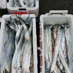 オーフリー 釣果