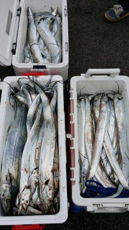 オーフリー 釣果