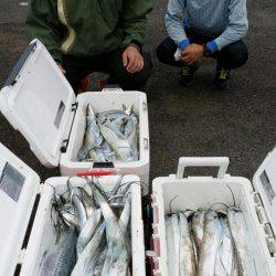 オーフリー 釣果