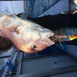 長栄丸(千葉) 釣果