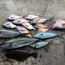 長栄丸(千葉) 釣果