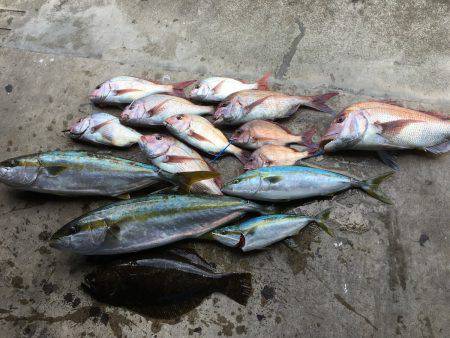 長栄丸(千葉) 釣果