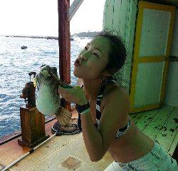 本部釣りイカダ 釣果