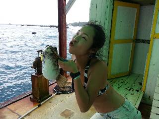 本部釣りイカダ 釣果