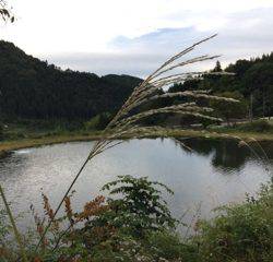 フィッシング母袋 釣果