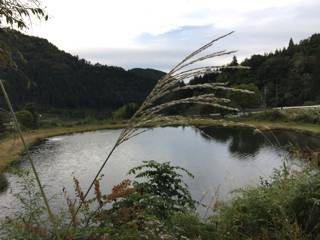 フィッシング母袋 釣果