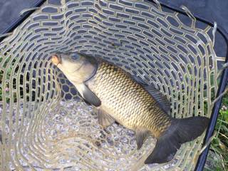 フィッシング母袋 釣果