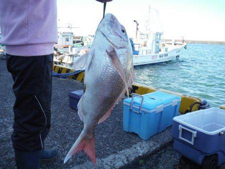 千代丸 釣果