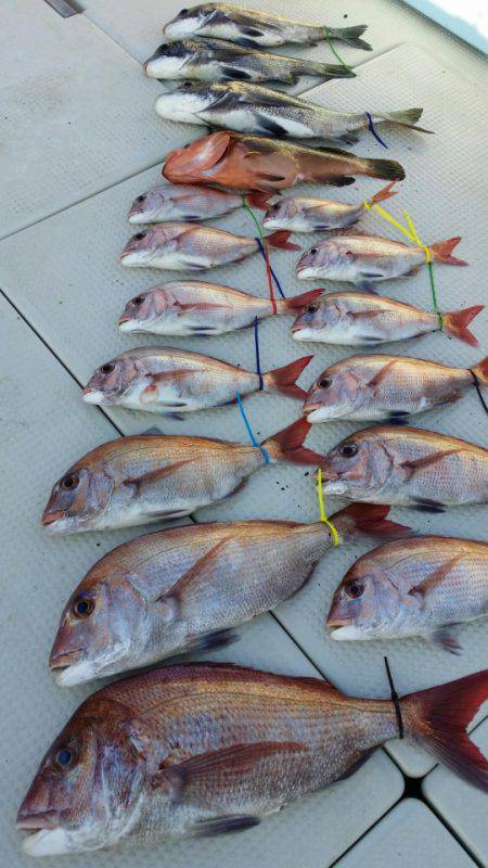 オーフリー 釣果